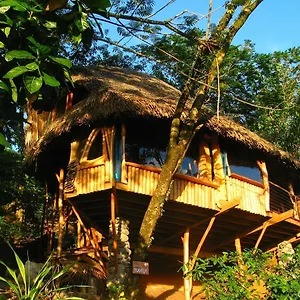 Vanira Guest house Teahupoo